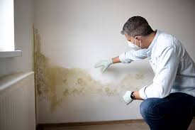 Asbestos and Lead Testing During Mold Inspection in Grant Park, IL